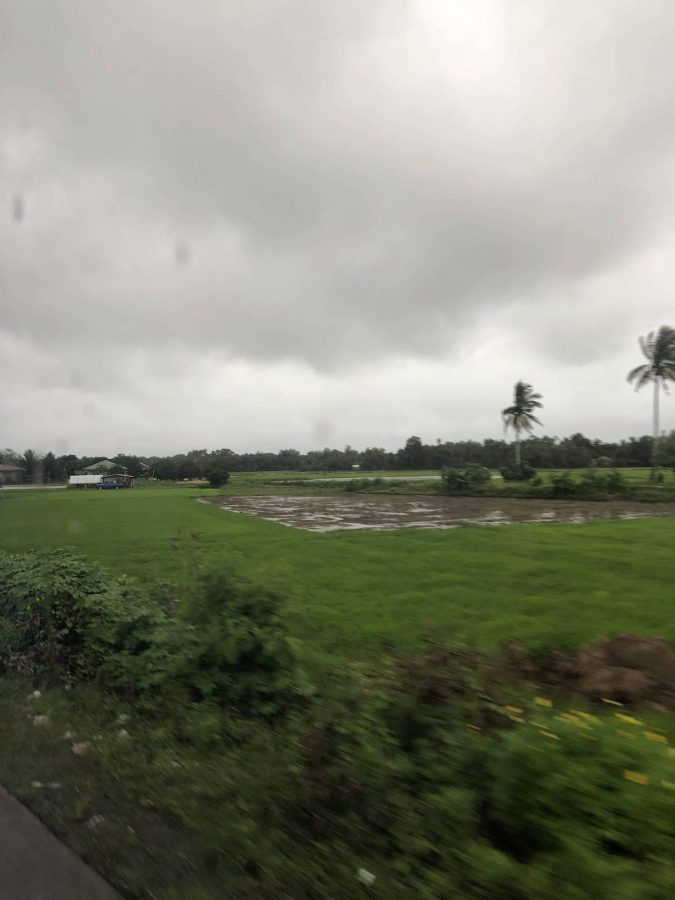 菲律宾的长滩岛也以产水稻为主，不过没有东北黑土地一年一熟种出来的好吃