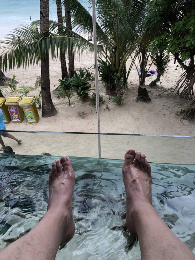 在二楼做鱼疗，同时安静的看着看海边的风景，很惬意