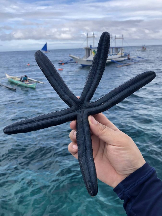 船上的小哥哥，什么都没有带，潜到水里抓到活的海星