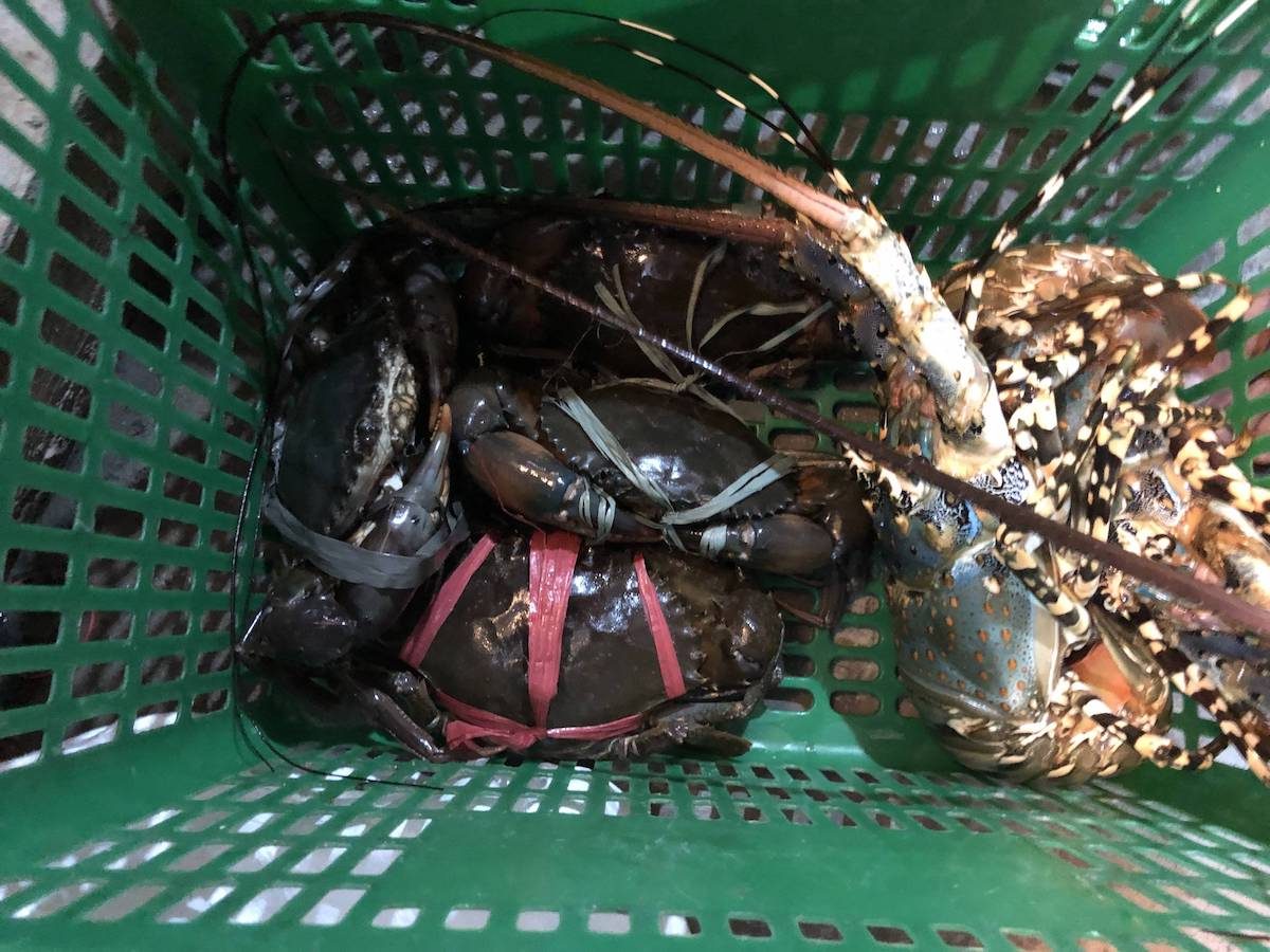 面包蟹，最后也谈到了800 peso/个，要了4个