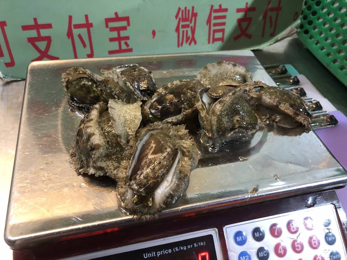 在这里又单点的鲍鱼1250 peso一份，这里的鲍鱼没有壳，最后做的切片