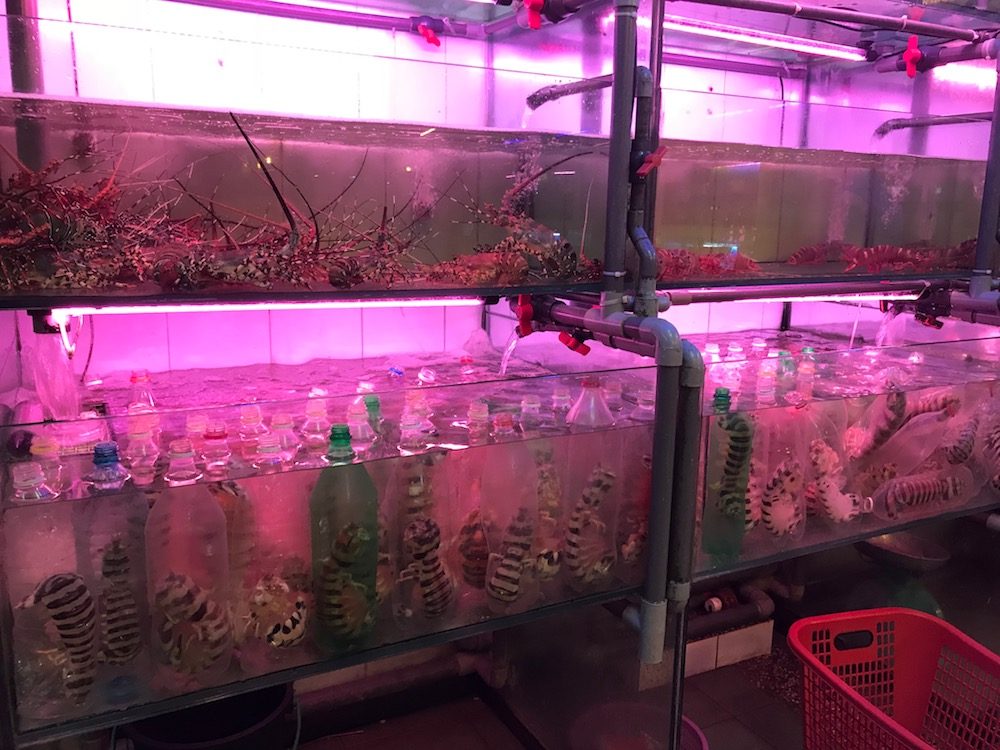 卖的海鲜都非常新鲜