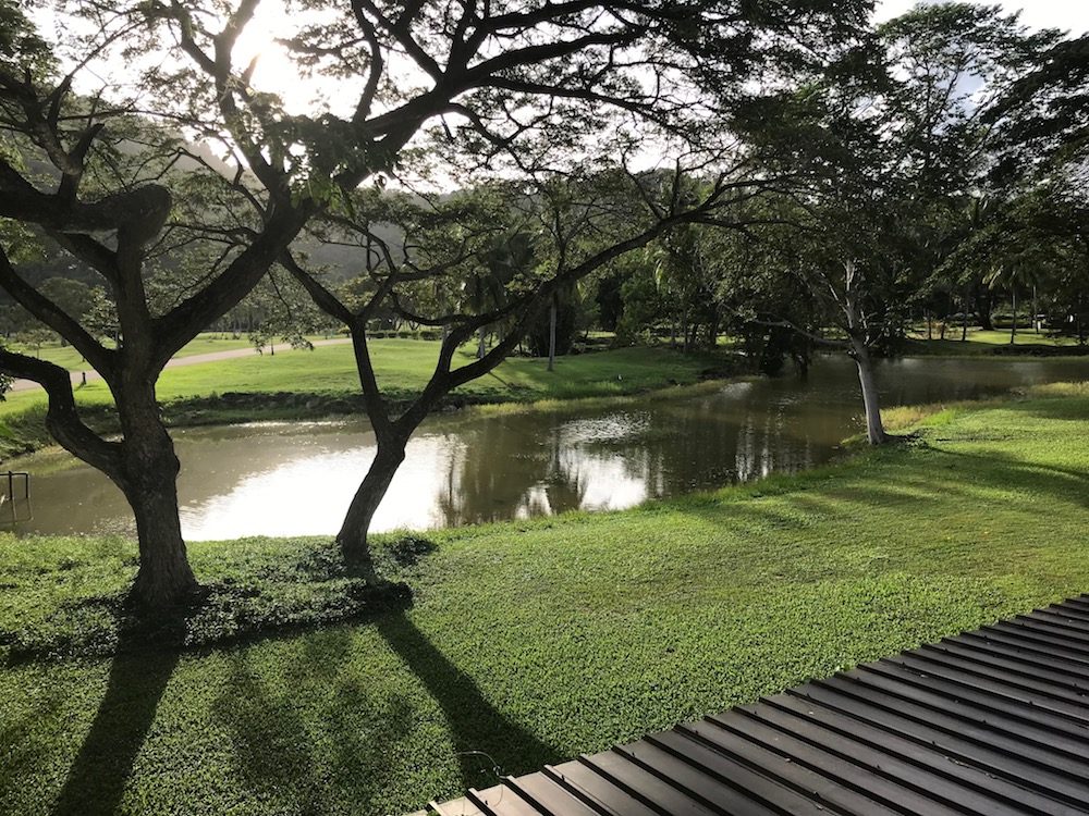 酒店窗外的风景
