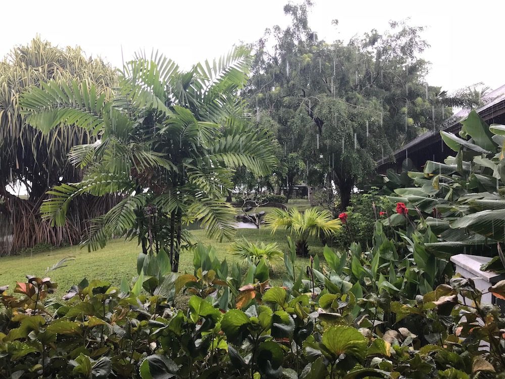 度假村的风景