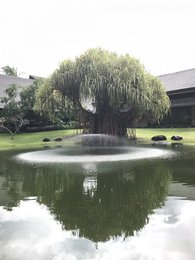 湖中心有个喷泉